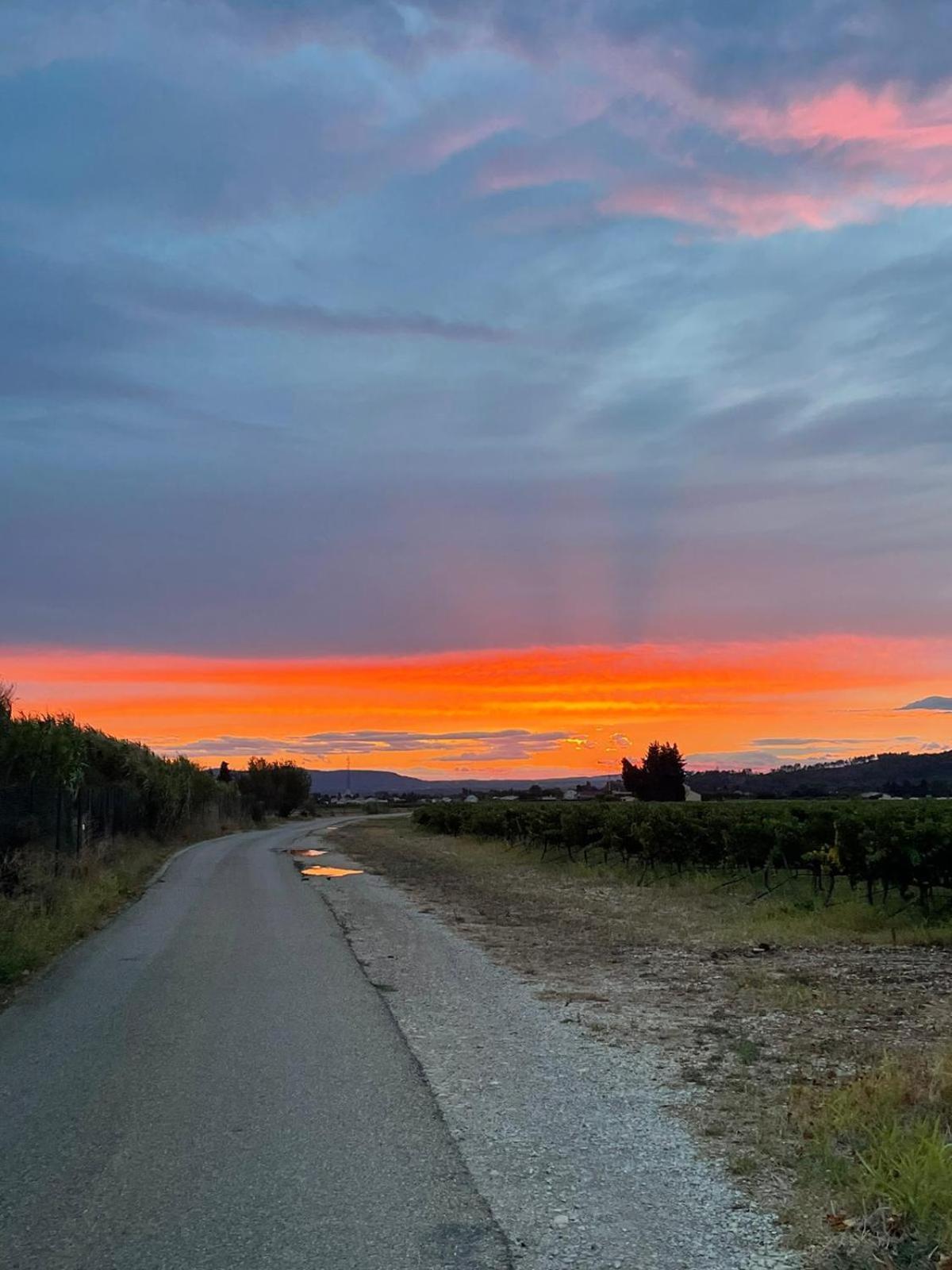 Chambre D'Hotes Les Garrigues Piolenc Esterno foto