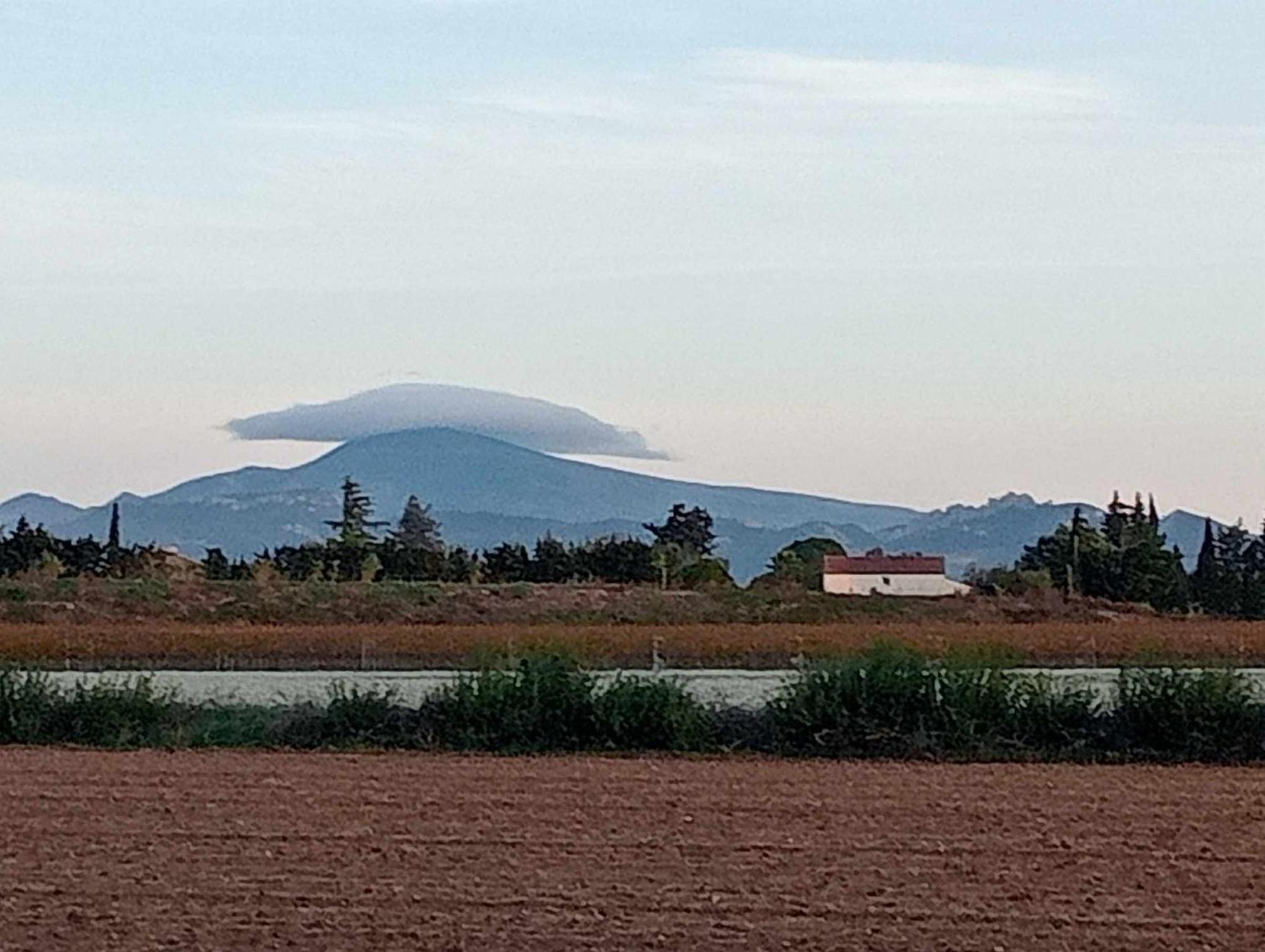 Chambre D'Hotes Les Garrigues Piolenc Esterno foto